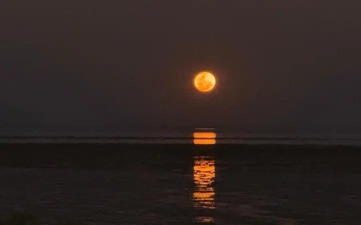 Staircase to the Moon over Roebuck Bay