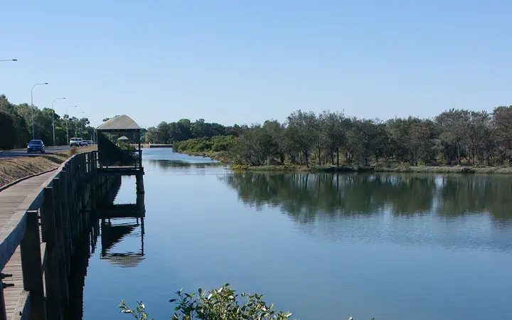 Mangroves and the boardwalk on Leschenault Inlet