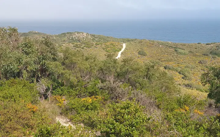 Maidens Reserve bushland running down to the Indian Ocean