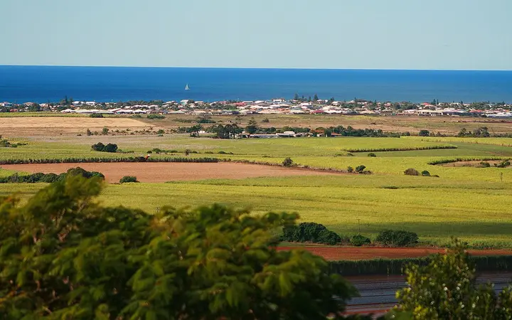 The view from the Hummock across cane fields to the sea