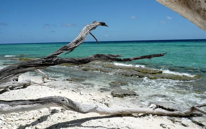 The reef edge on Lady Musgrave Island
