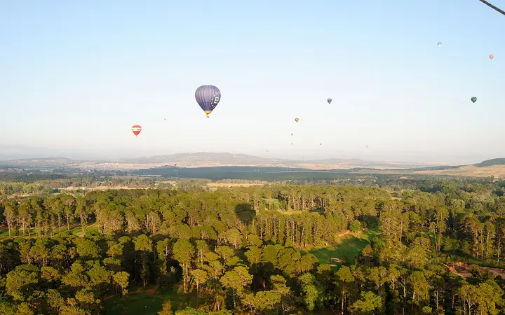 Balloons in the early-morning sky over Yarralumla