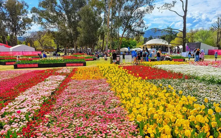 Floriade's spring beds in Commonwealth Park