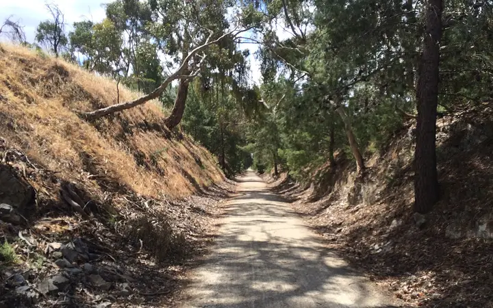 The Riesling Trail near Penwortham