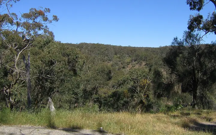 Stringybark woodland in Spring Gully Conservation Park