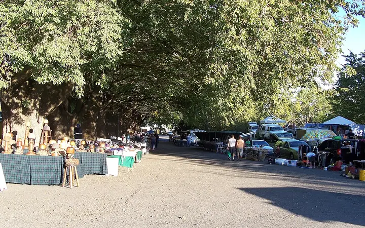 Stalls under the trees at the Sunday Market