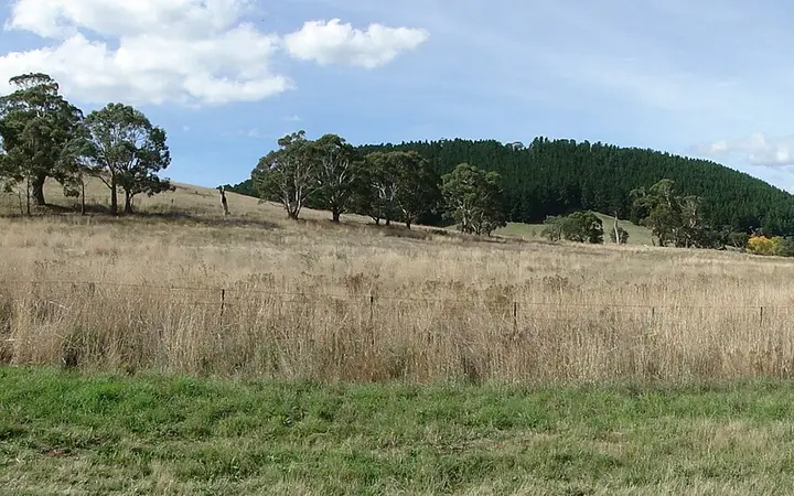 Mount Franklin (Lalgambuk) above the paddocks
