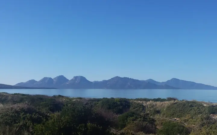 Great Oyster Bay, where the farm grows its oysters