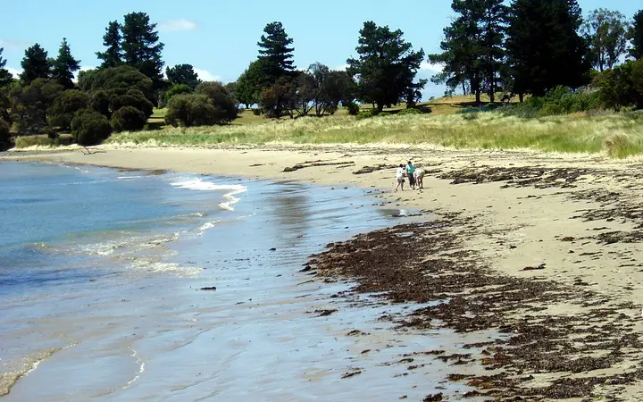Swansea Beach, near the farm