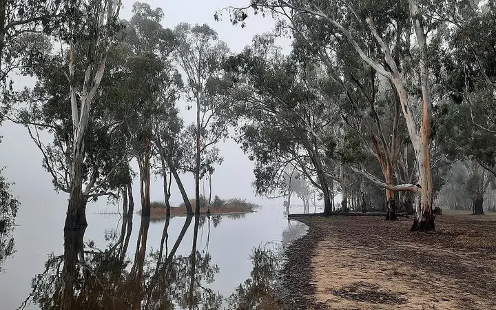 Barmah Lake on a winter morning