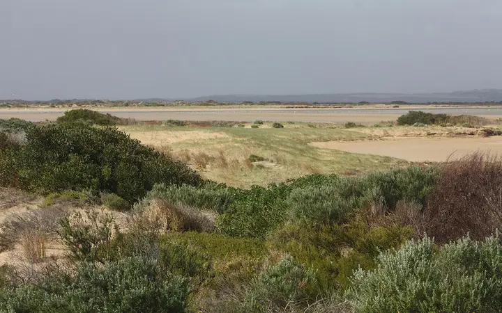 The Coorong from beside the Murray Mouth