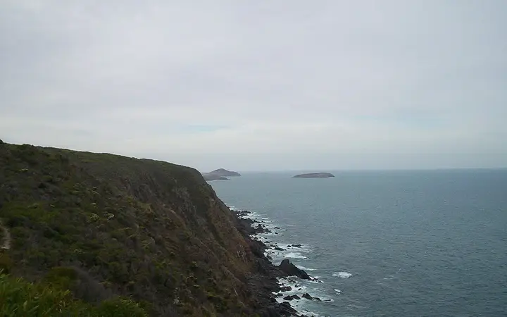 Clifftops on the Newland Head trail
