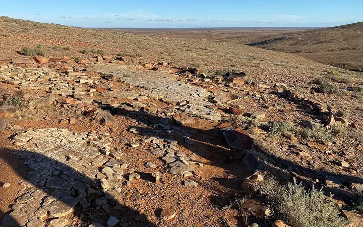 A fossil bed in the field at Nilpena