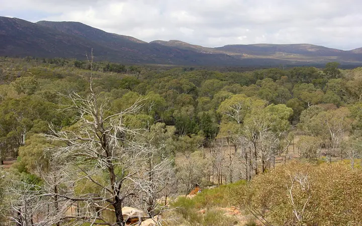 Looking across Ikara-Wilpena Pound from Wangara Lookout