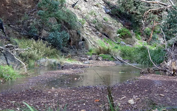 Stony Creek in Anakie Gorge