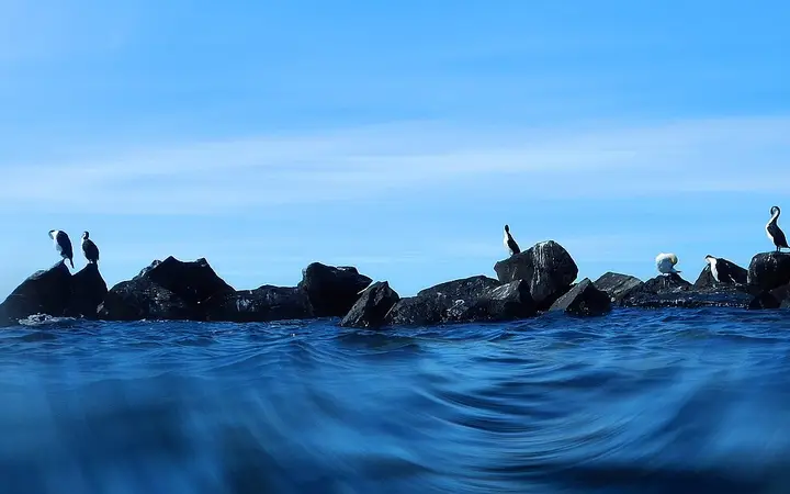 Pope's Eye, the trip's snorkel stop