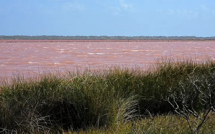 Hutt Lagoon's pink water near Port Gregory