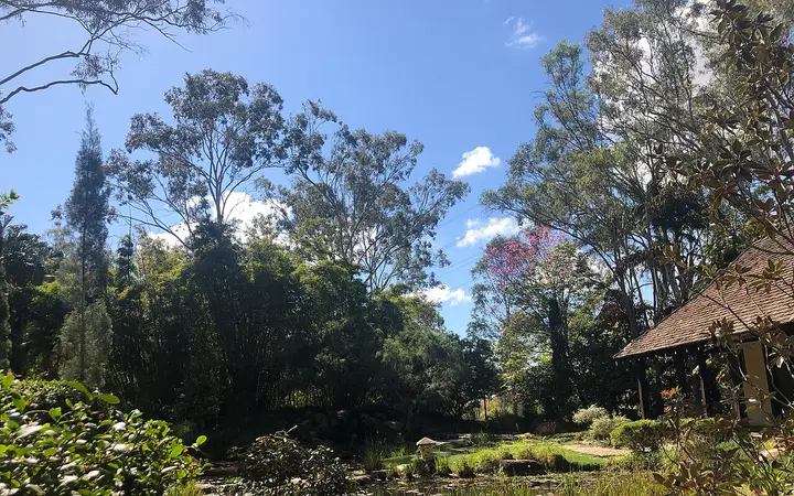 The pond garden at Tondoon