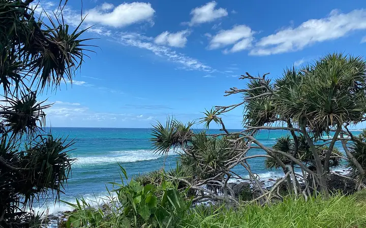 Pandanus and surf on the Oceanview walk, Burleigh headland