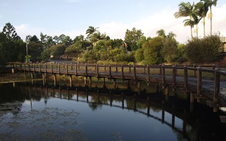 A lake boardwalk at the Gold Coast Regional Botanic Gardens