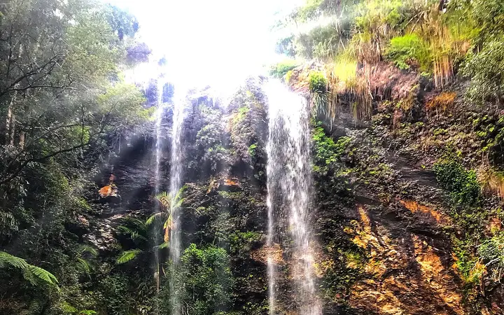 Twin Falls, Springbrook