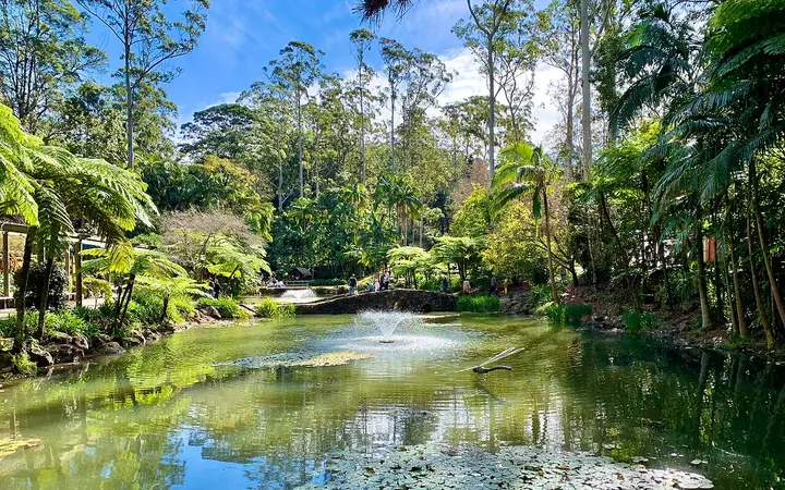 The lake at Tamborine Mountain Botanic Gardens