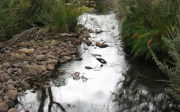 The MacKenzie River at Zumsteins, where the walk starts