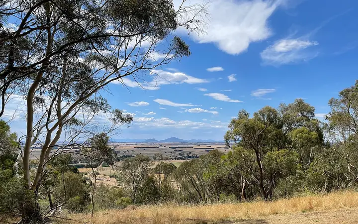 Looking north from Mount Rouse