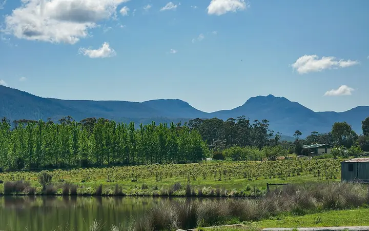 Huon Valley countryside, near Home Hill