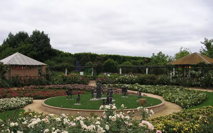 The rose garden at Hunter Valley Gardens