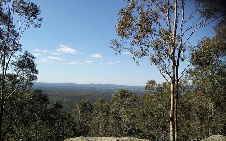 Werakata National Park from Mt Tomalpin