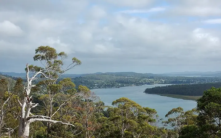 The Tamar from Brady's Lookout
