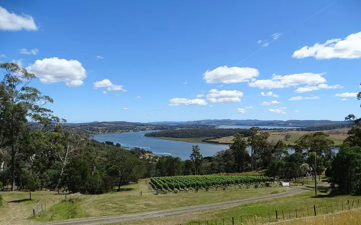 The Tamar Valley at Rosevears, where the two cellar doors look over the river