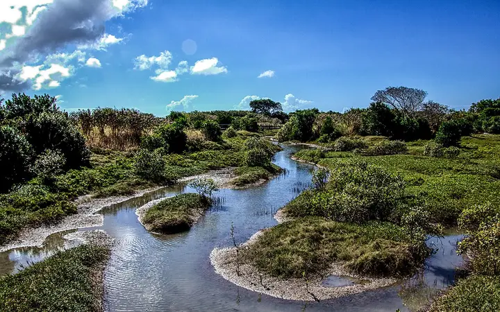Wetland along the Bluewater Trail