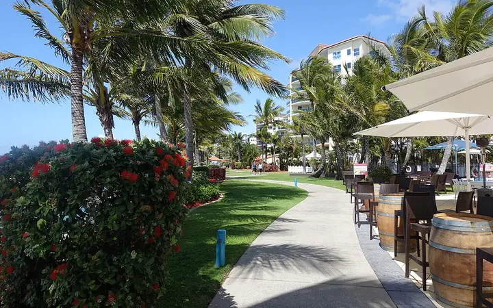The palm-lined esplanade at Mackay Marina
