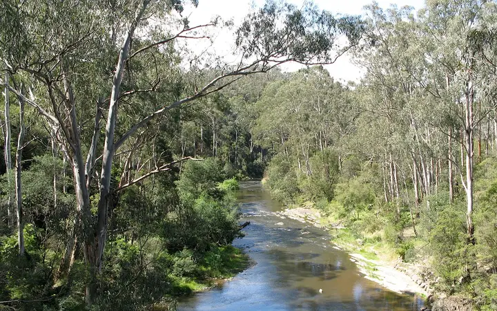 The Yarra in Warrandyte State Park, downstream at Pound Bend