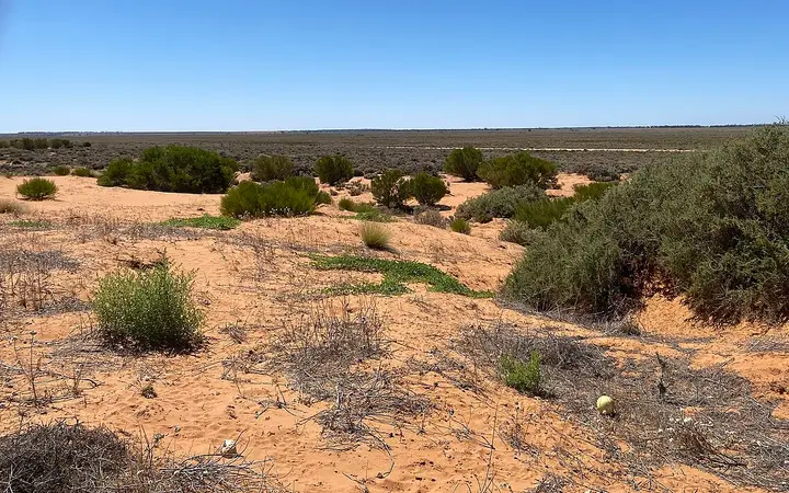 The Perry Sandhills by day, before the lights