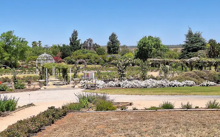 The rose garden at the Inland Botanic Gardens