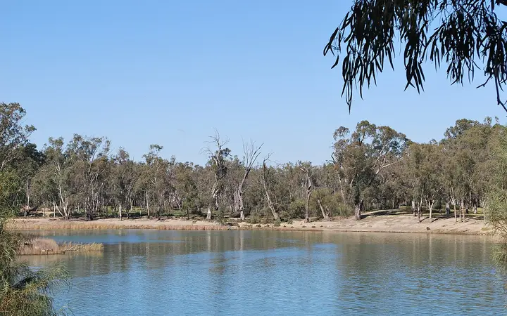 The Murray at Mildura, which runs beside Jaycee Park