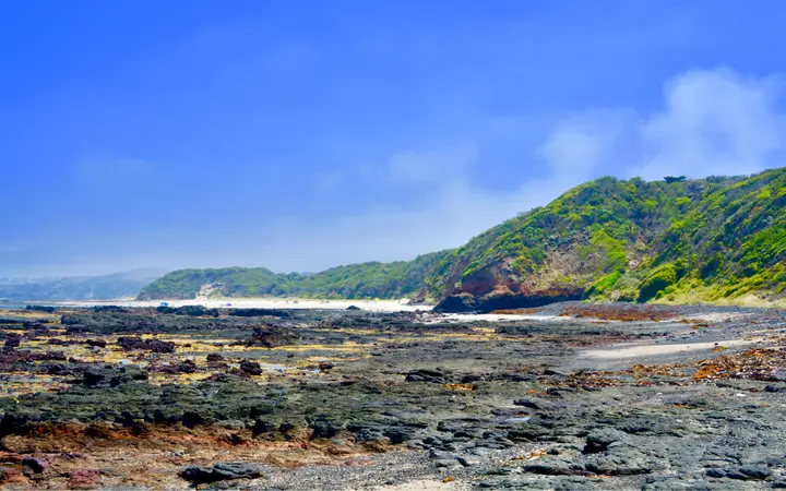 St Andrews Beach, where the ride reaches the sand