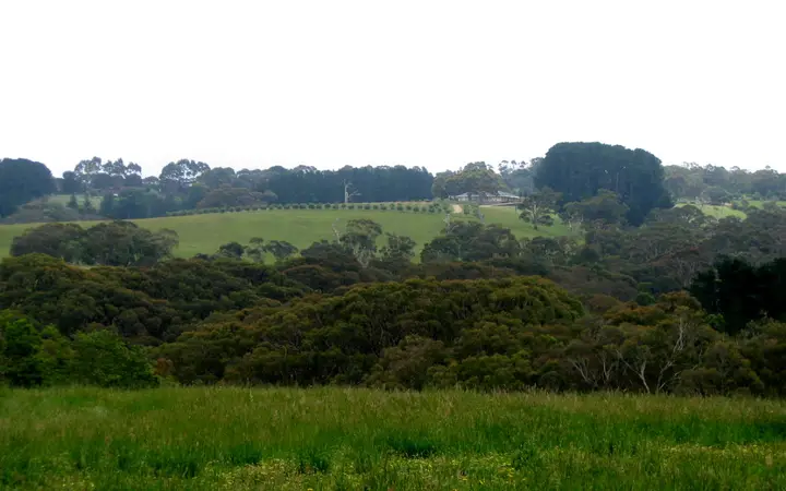 The rolling hills of Main Ridge