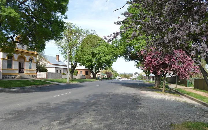 Spring blossom on Victoria Street, Millthorpe, where Tonic sits on the Pym Street corner