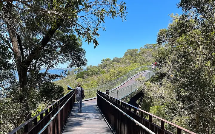 The Federation Walkway, Kings Park