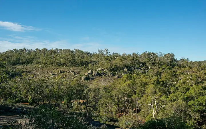 Bushland in John Forrest National Park (not the falls)