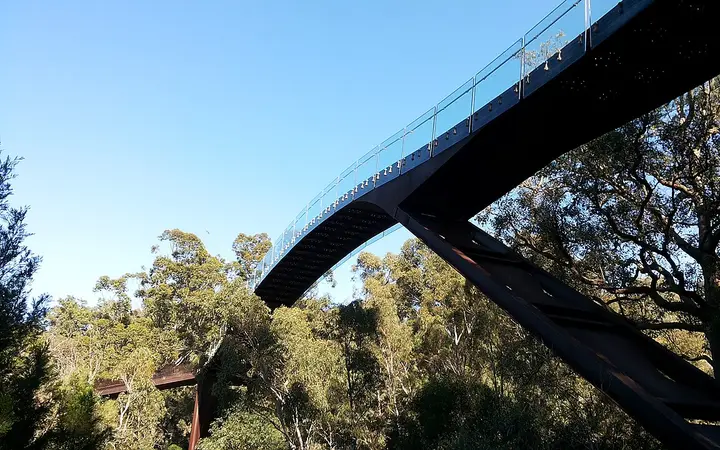 The Federation Walkway's glass bridge, Kings Park