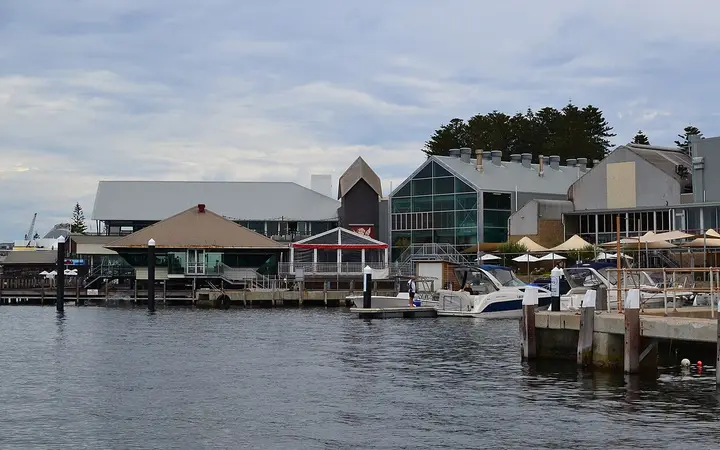 Little Creatures from the Fishing Boat Harbour