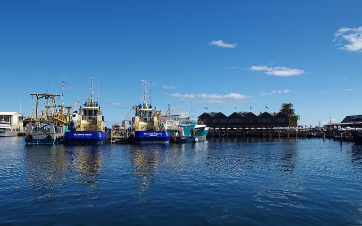 Fremantle Fishing Boat Harbour, with Kailis' on the waterfront