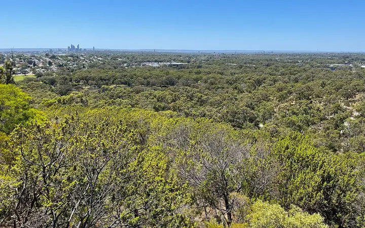 View from Reabold Hill, Bold Park