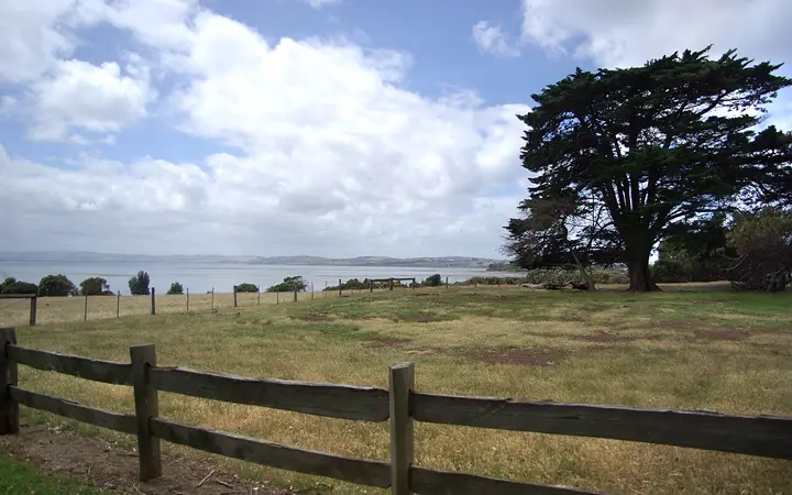 Churchill Island farm paddocks