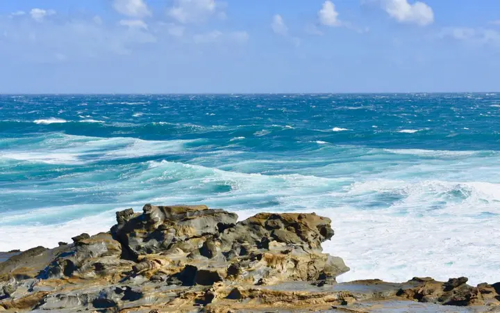 The coast from the George Bass Coastal Walk
